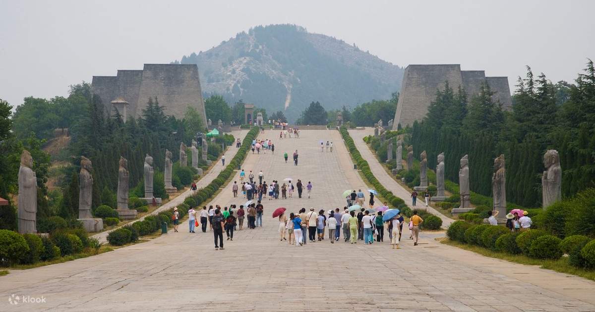 Sutli Osiyo kokraklari